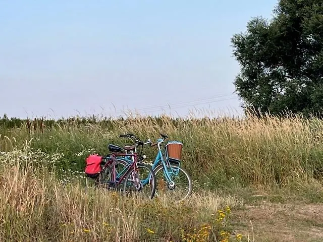 Lwb Ferienwohnung \